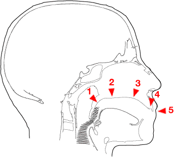 mouth positions